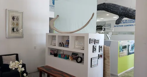 Marina Dental, consultorio dental en La Paz, Baja California Sur