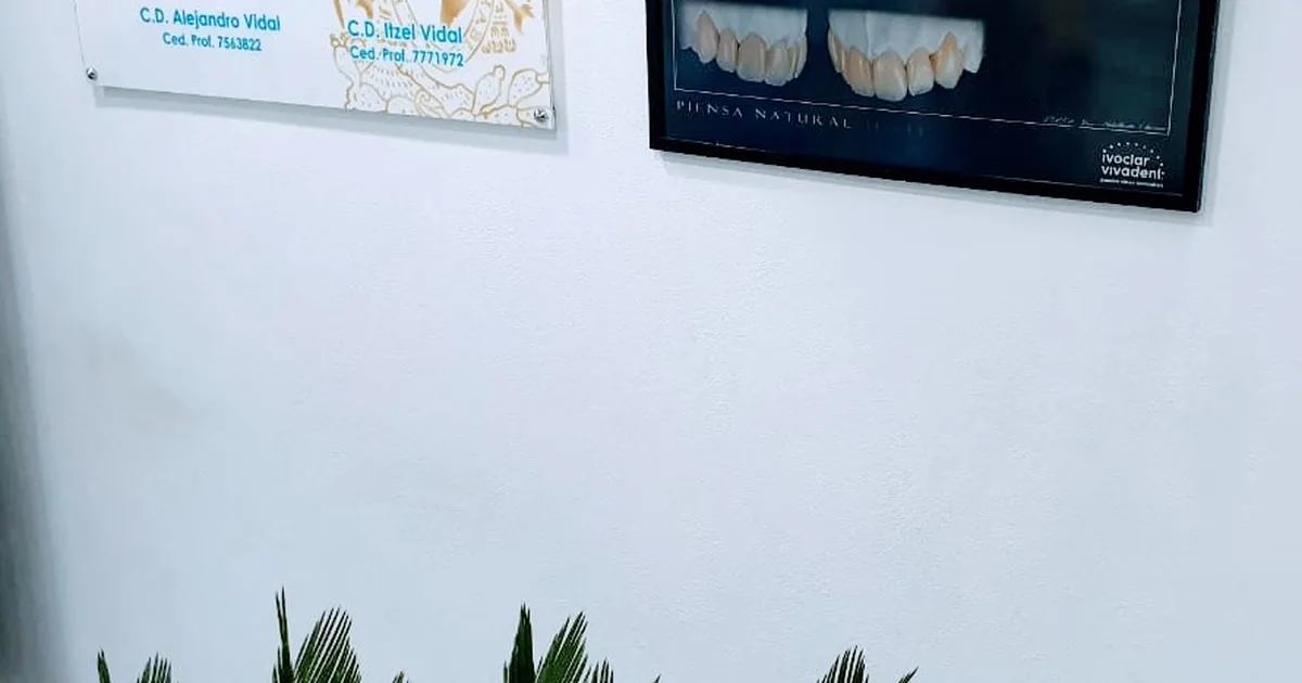 Consultorio Dental Vidaldent
