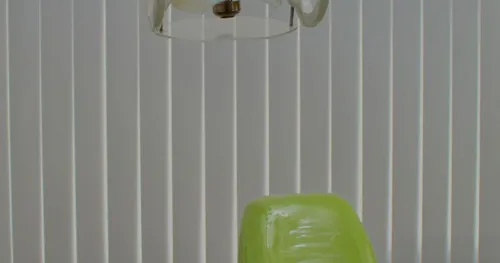 Dentista Dental JL: Tú sonrisa en buenas manos, consultorio dental en Azcapotzalco, Ciudad de México