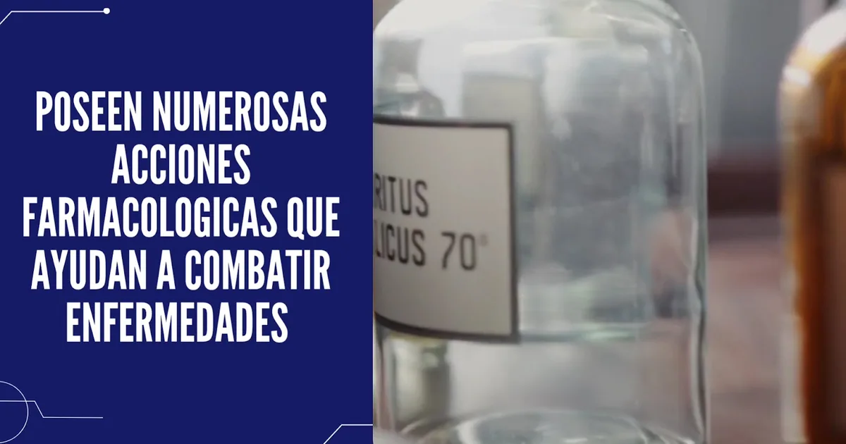 Centro Dental DC