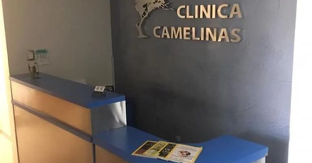 Dr. Fernando Alcocer González • Dentista – Implantes Dentales