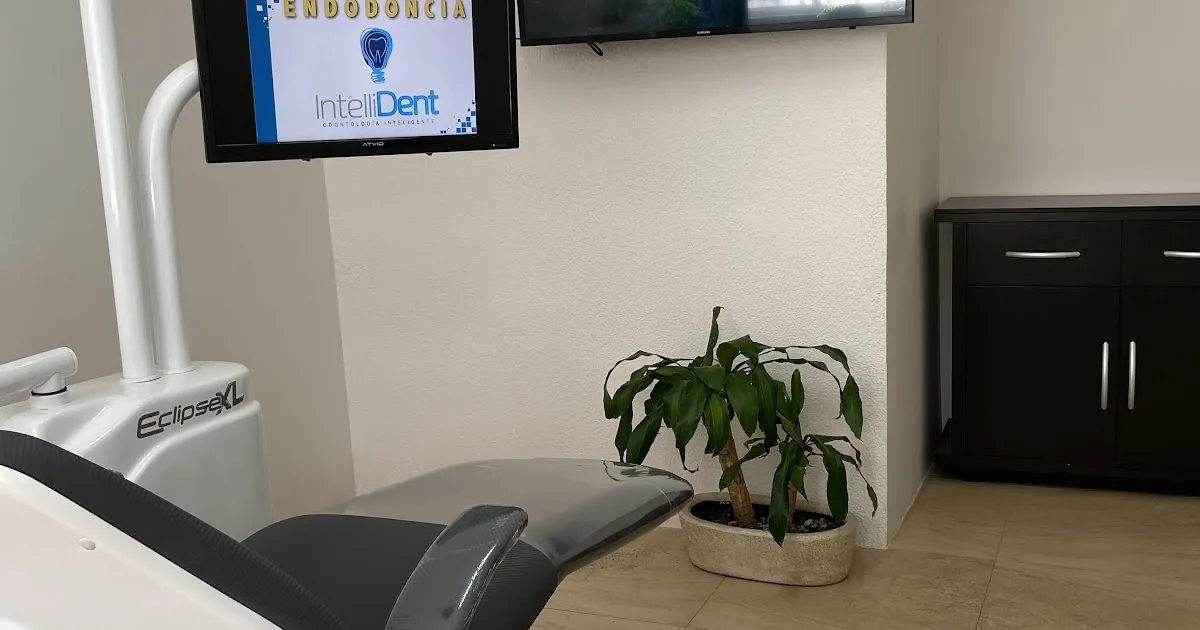 IntelliDent Clínica Dental Puebla