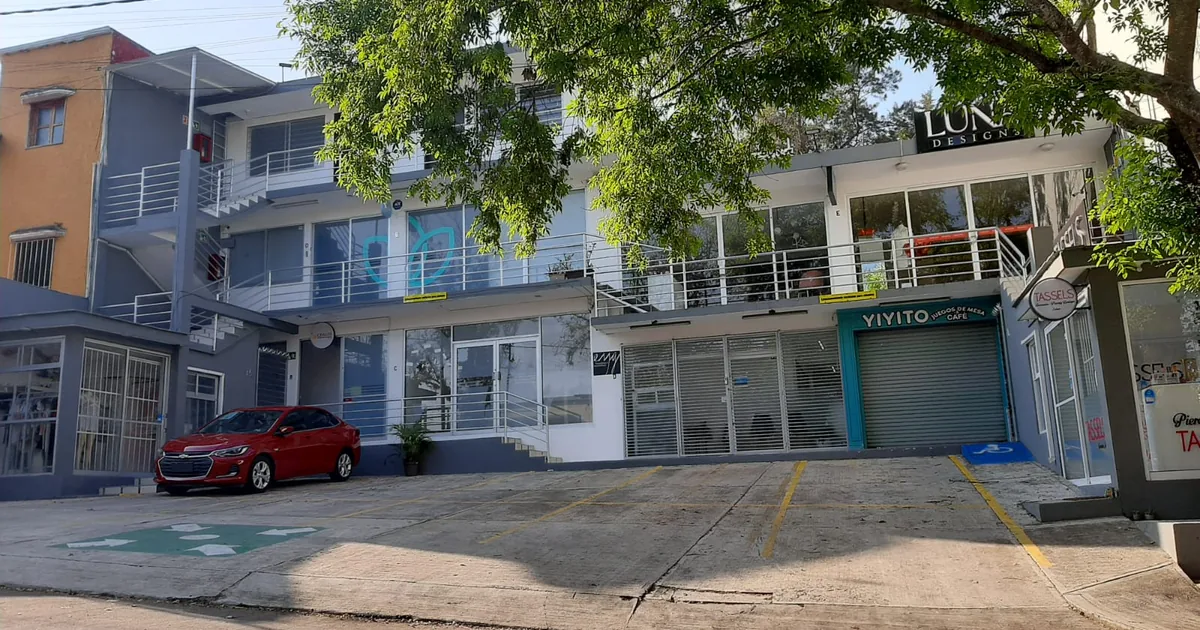 Dra. Elisa Montalvo Gómez, Dentista – Odontólogo