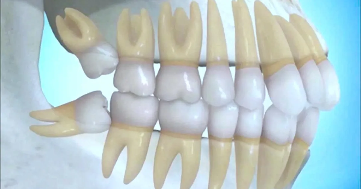 ODONTOLOGIA INTEGRAL PROFESIONAL