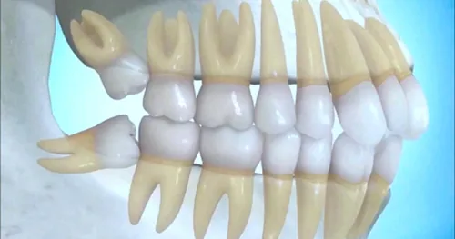 ODONTOLOGIA INTEGRAL PROFESIONAL, consultorio dental en Mérida, Yucatán